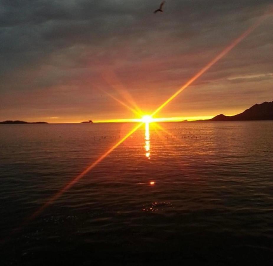 Senja Living Apart otel Stonglandseidet Dış mekan fotoğraf