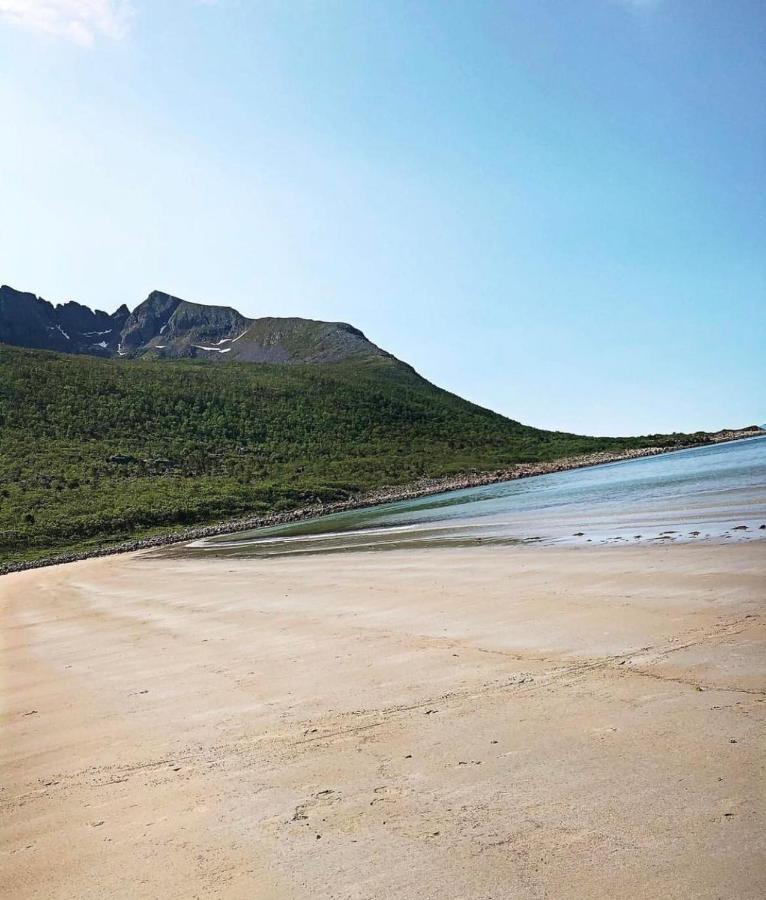 Senja Living Apart otel Stonglandseidet Dış mekan fotoğraf