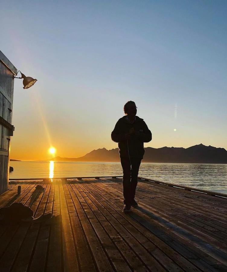 Senja Living Apart otel Stonglandseidet Dış mekan fotoğraf