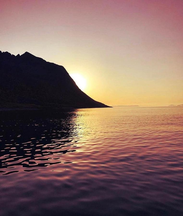 Senja Living Apart otel Stonglandseidet Dış mekan fotoğraf