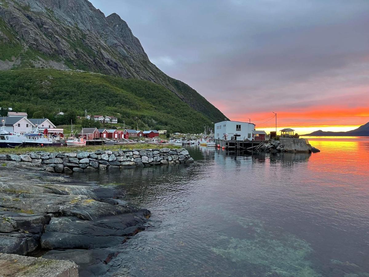Senja Living Apart otel Stonglandseidet Dış mekan fotoğraf