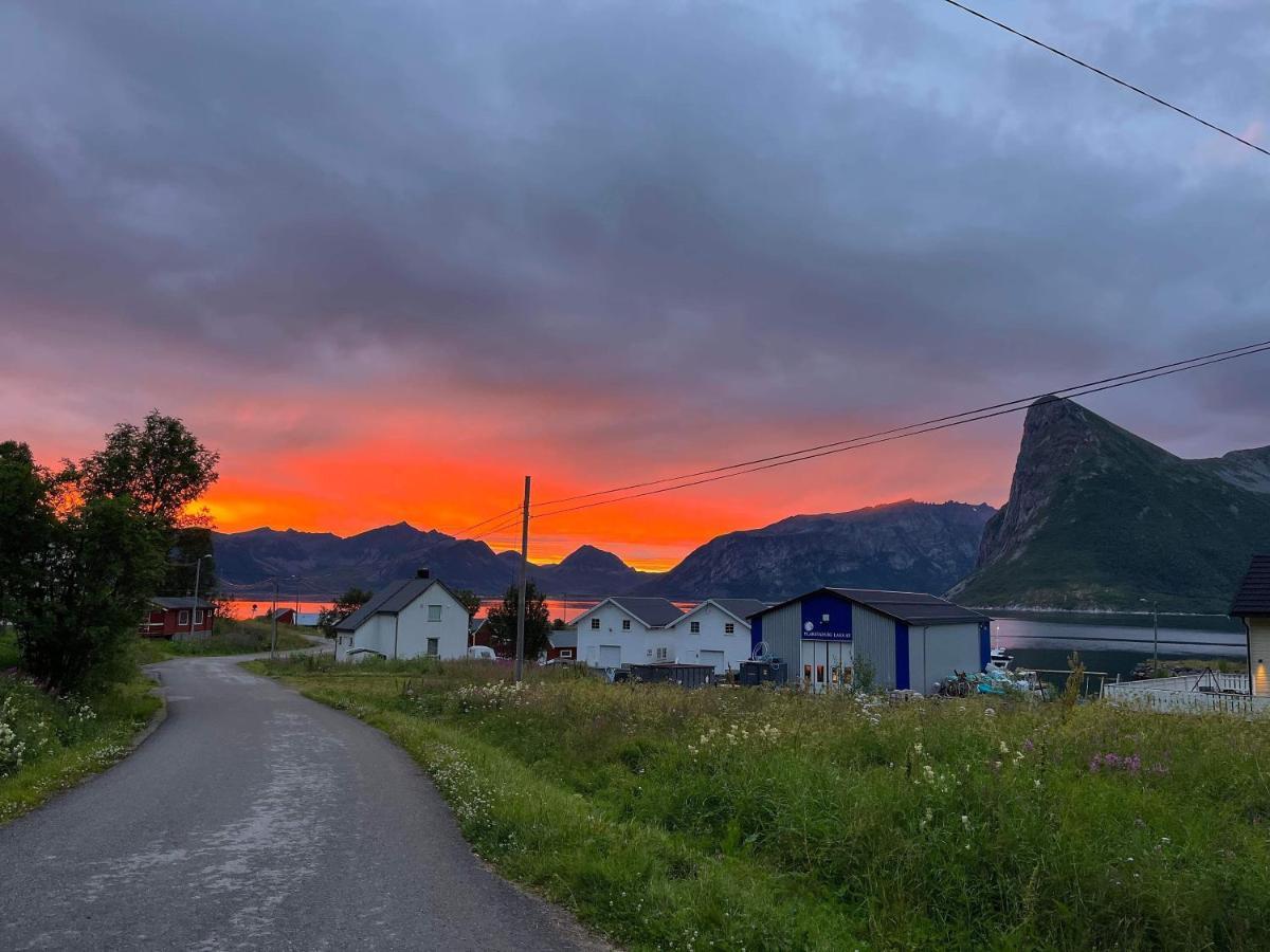 Senja Living Apart otel Stonglandseidet Dış mekan fotoğraf