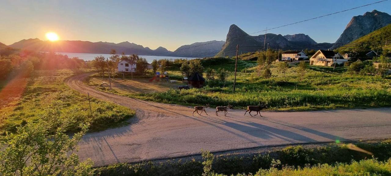 Senja Living Apart otel Stonglandseidet Dış mekan fotoğraf