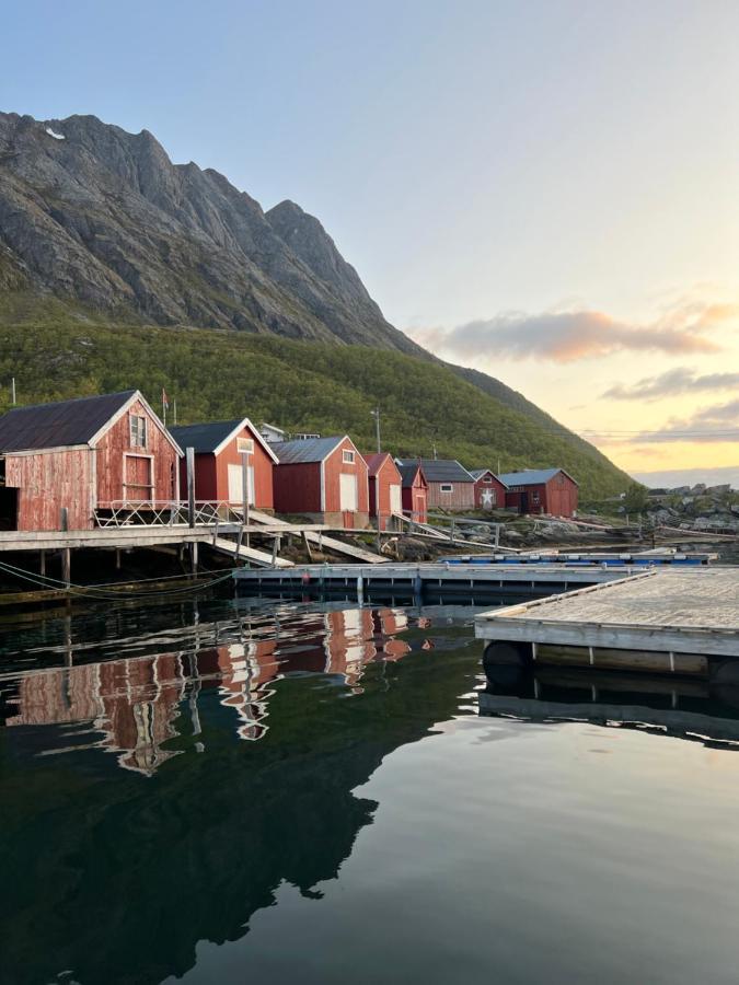 Senja Living Apart otel Stonglandseidet Dış mekan fotoğraf