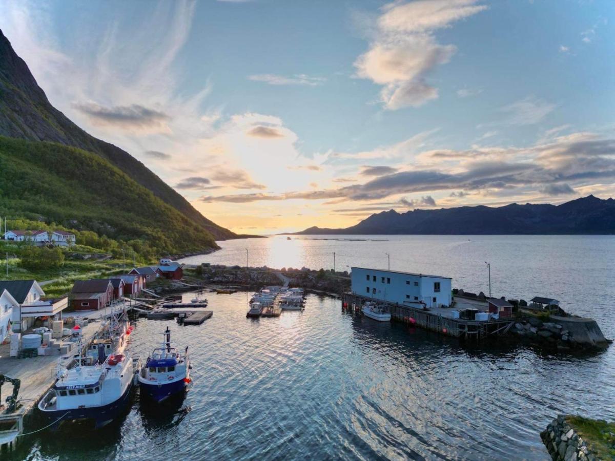 Senja Living Apart otel Stonglandseidet Dış mekan fotoğraf