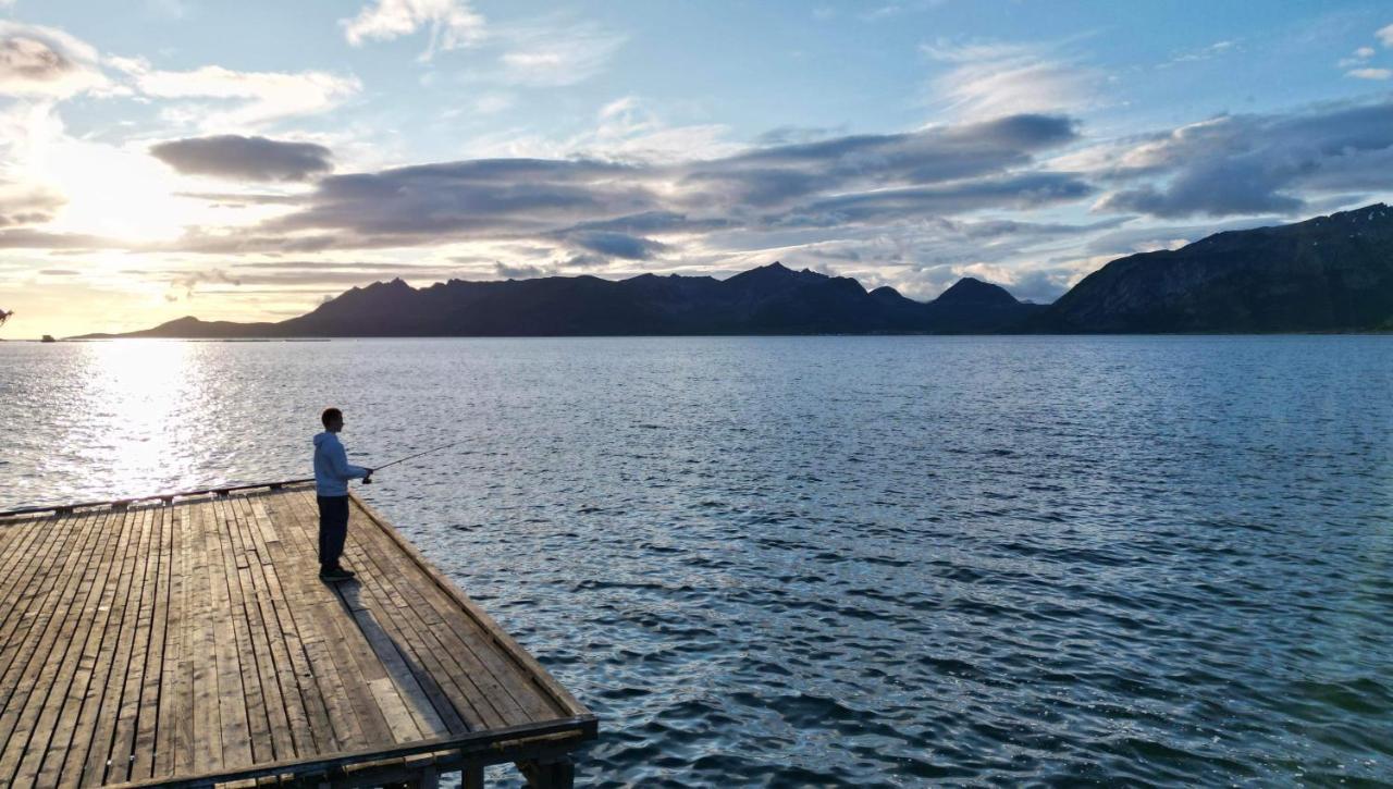 Senja Living Apart otel Stonglandseidet Dış mekan fotoğraf