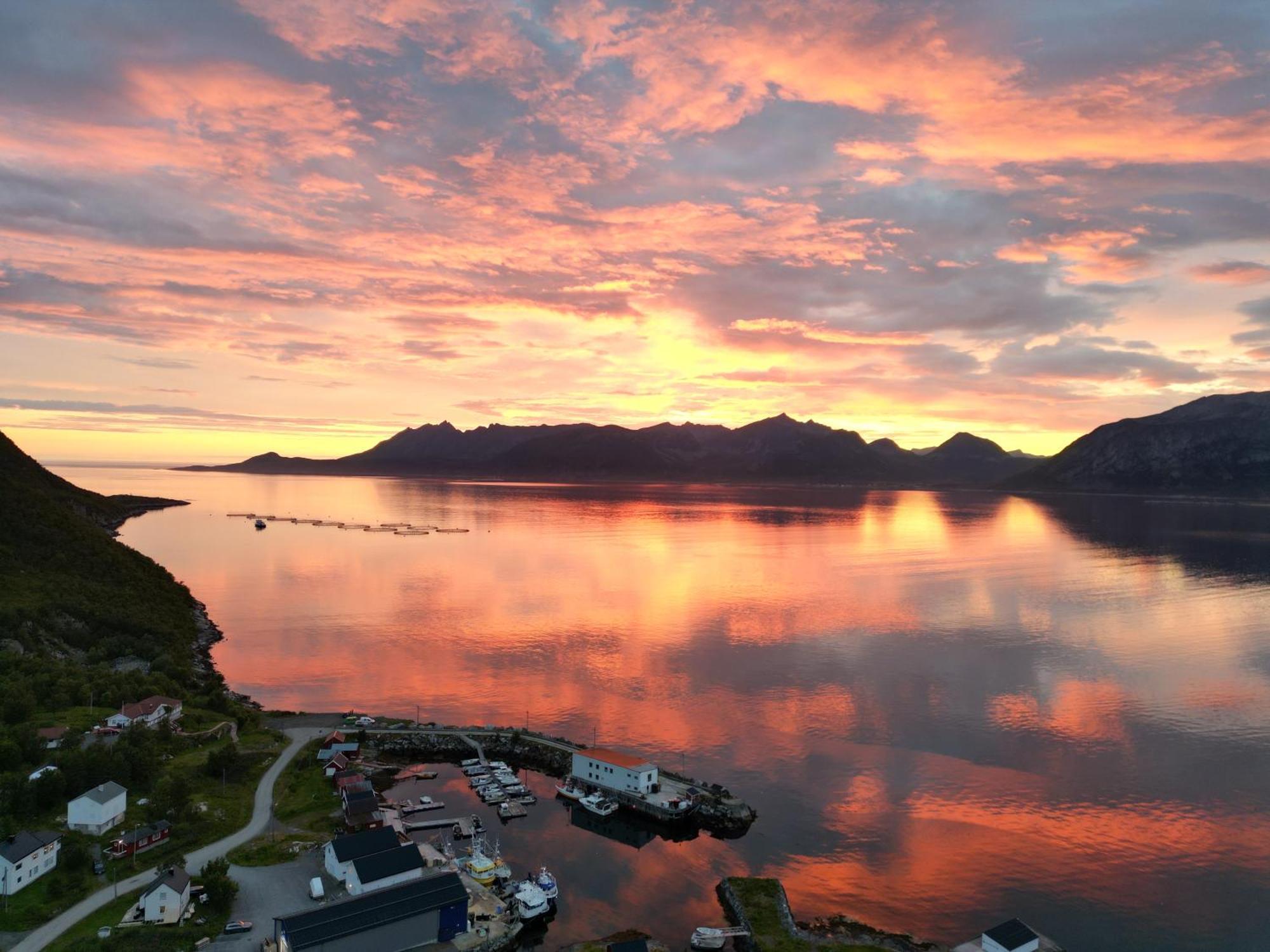 Senja Living Apart otel Stonglandseidet Dış mekan fotoğraf